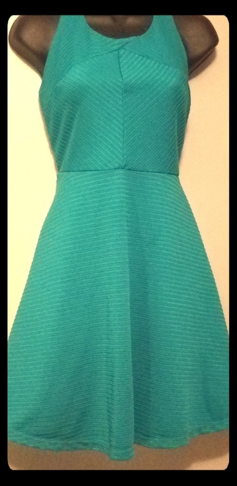 The Limited, skater style dress
